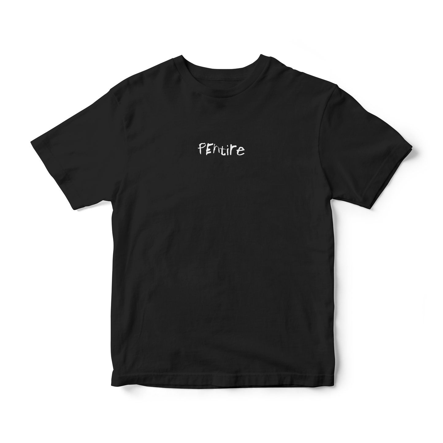 Pentire 2026 UK Tour T Shirt